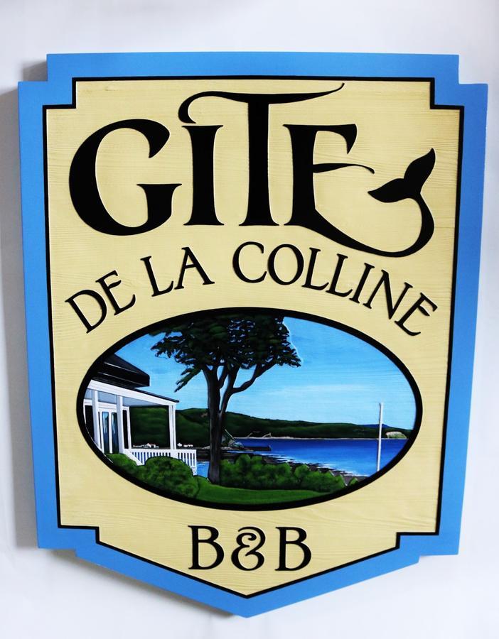 Gite De La Colline Baie-Sainte-Catherine Exterior foto